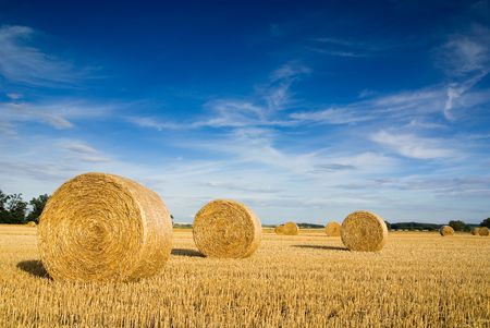 Straw bales on farmland with blue cloudy skyの写真素材