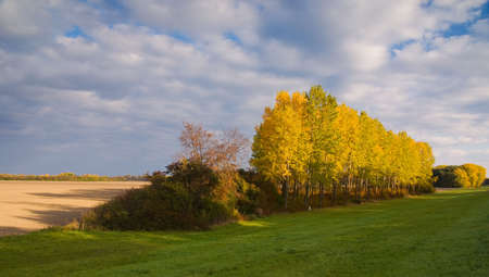 Autumn landscape (can be used how background or wallpaper)の写真素材