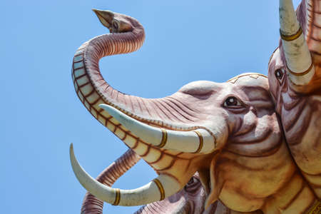 Medium faces  of three-head elephant,Airavata hatyai,Thailandの写真素材