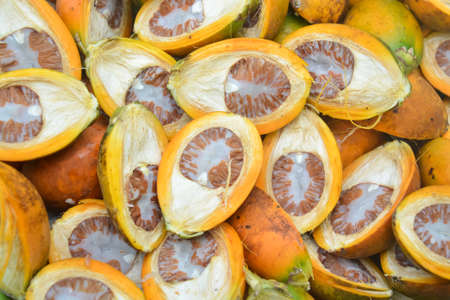 Top view - Ripe betel nuts or areca nut  separateの写真素材