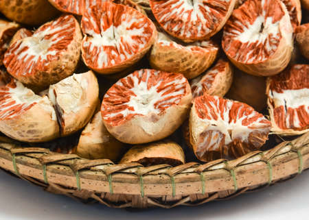 Closeup-front betel nut or areca nutの写真素材