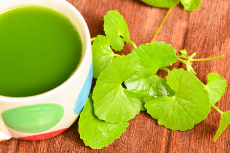 Gotu kola leaf and beverage on the woodの写真素材