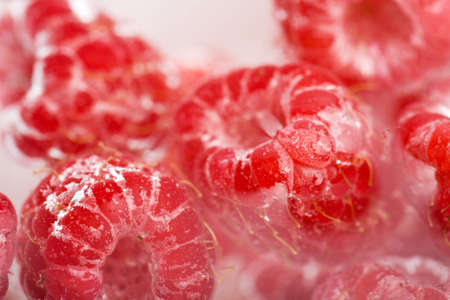 fresh raspberries in waterの写真素材