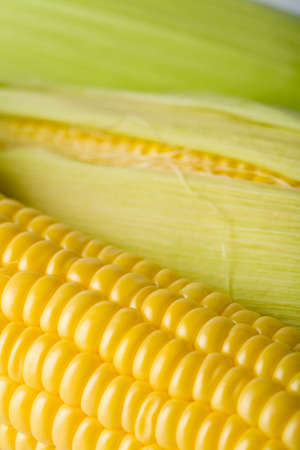 macro of fresh maize