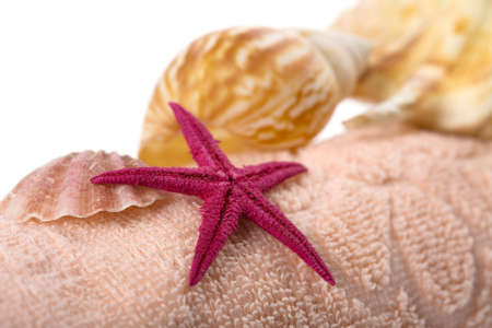 towel and sea shells. spa and body care backgroundの写真素材