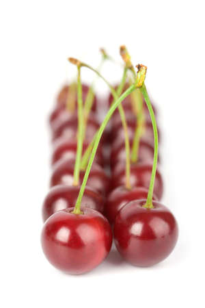 ripe cherries isolatedの写真素材