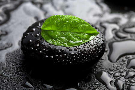 zen stone and leaf with water dropsの写真素材