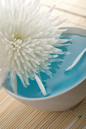 white flower floating in bowl. spa backgroundの写真素材