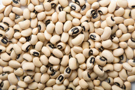 white haricot beans backgroundの写真素材