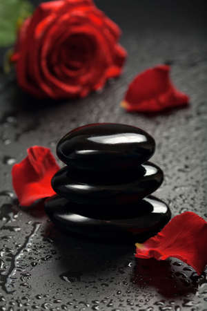 zen stones and rose petals over black backgroundの写真素材