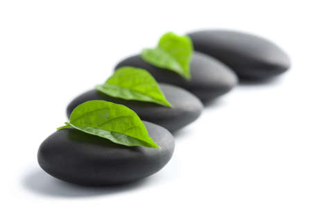 zen stones with leaves isolated. spa backgroundの写真素材