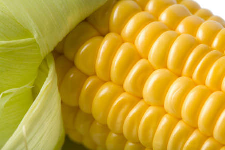 macro of fresh maize