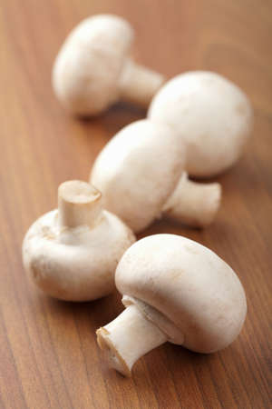 fresh mushrooms