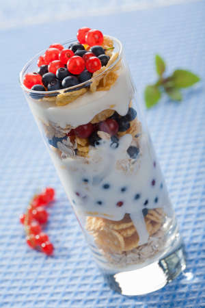 yogurt with cereal and  berries