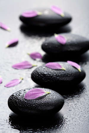 spa stones and petals の写真素材