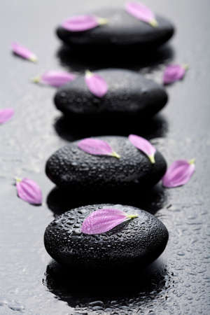 spa stones and petalsの写真素材