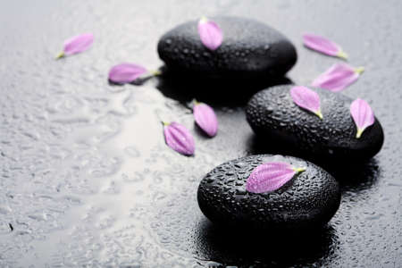 spa stones and petals の写真素材