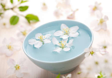 white flowers in bowlの写真素材