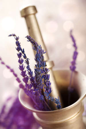 mortar with lavender の写真素材