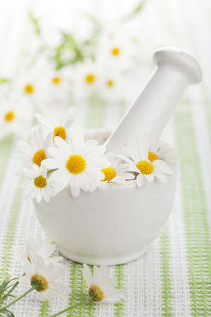 chamomile flowers in mortar の写真素材