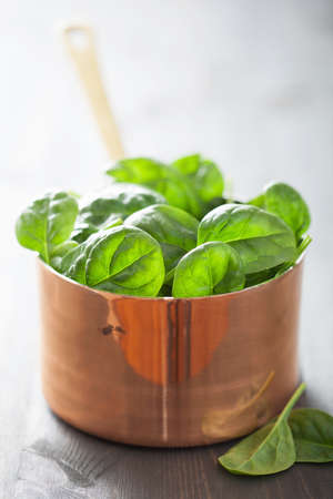 baby spinach leaves in copper potの写真素材