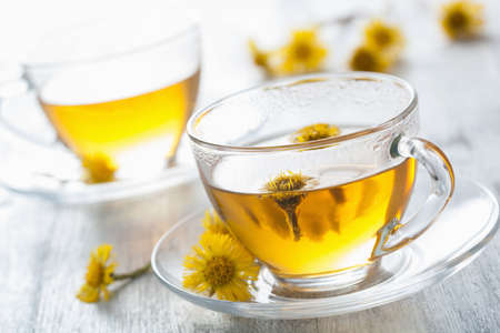 herbal tea with coltsfoot flowers の写真素材