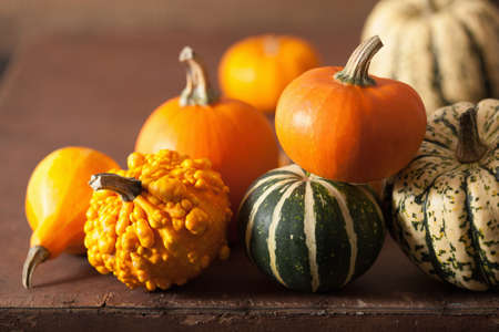 mini pumpkins on wooden background