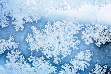 winter ice rime backgroundの写真素材