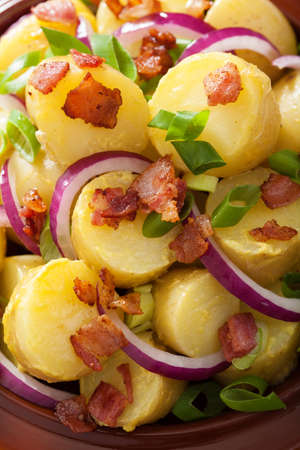 potato salad with bacon onion mustardの写真素材