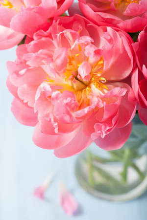beautiful pink peony flower bouquet in vaseの写真素材