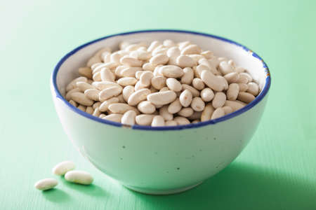 raw haricot legumes cannellini beans in bowlの写真素材
