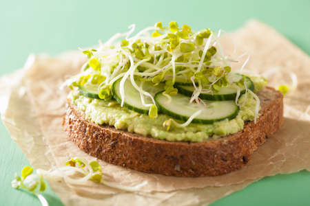 healthy rye bread with avocado cucumber radish sproutsの写真素材