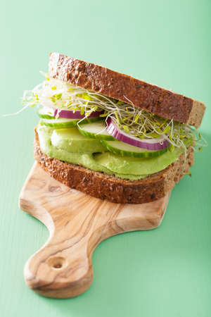 healthy avocado sandwich with cucumber alfalfa sprouts onionの写真素材