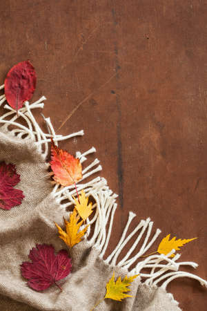 warm wool throw autumn red leaves on wooden background