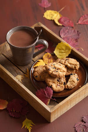 hot chocolate warming drink cozy autumn leaves cookiesの写真素材