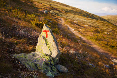 T sign turistforening mountain landscape Norway national park Dovreの写真素材