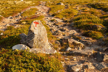 T sign turistforening mountain landscape Norway national park Dovreの写真素材