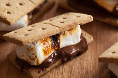 homemade marshmallow s'mores with chocolate on crackers