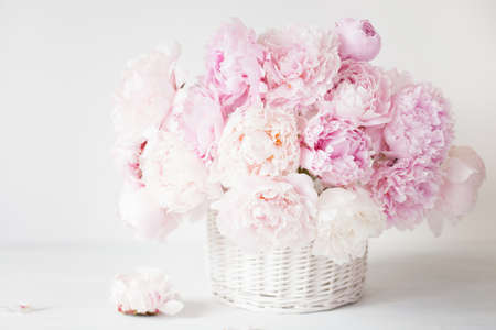 beautiful pink peony flowers bouquet in vaseの写真素材