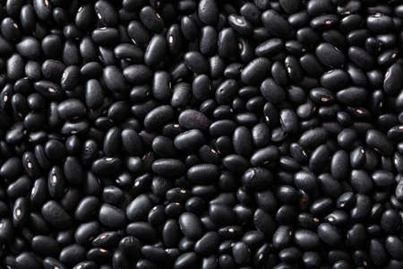 black turtle beans legumes backgroundの写真素材