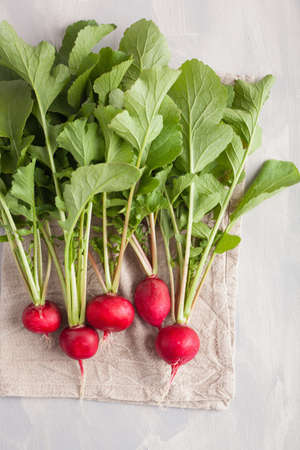 fresh raw radish with leaves over gray background