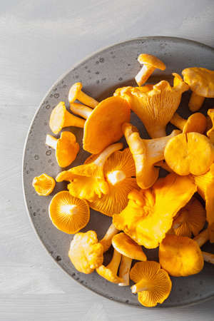 raw fresh chanterelle mushrooms on gray backgroundの写真素材
