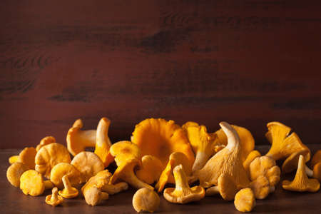 raw fresh chanterelle mushrooms on dark backgroundの写真素材