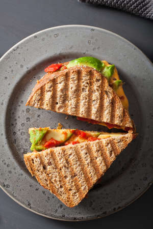 grilled cheese sandwich with avocado and tomatoの写真素材