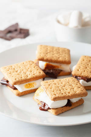 homemade marshmallow s'mores with chocolate on crackers