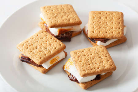 homemade marshmallow s'mores with chocolate on crackers