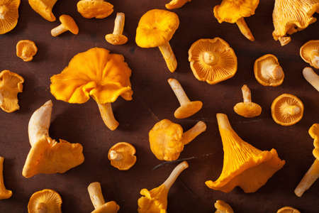 raw fresh chanterelle mushrooms flat lay on dark background
