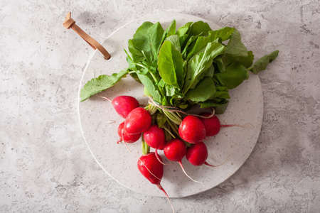 fresh raw radish over gray background