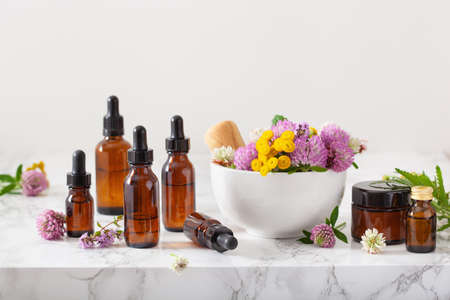 medical flowers herbs in mortar essential oils in bottles. alternative medicine. clover milfoil tansy rosebayの写真素材