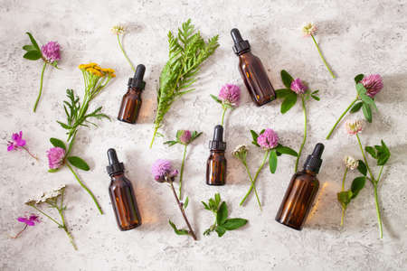 medical flowers herbs essential oils in bottles. alternative medicine. clover milfoil tansy rosebayの写真素材